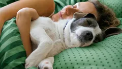 Spanie z psem uruchamia nieoczekiwane procesy — i nie chodzi tylko o ciepło